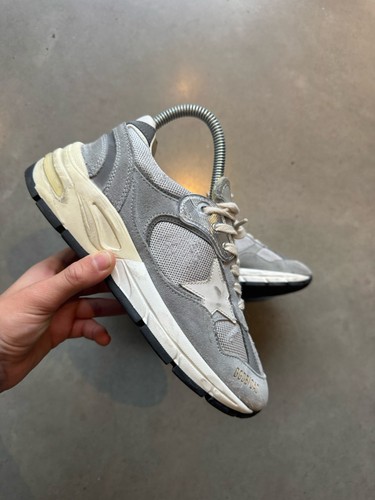 Golden goose dad - goose, grey