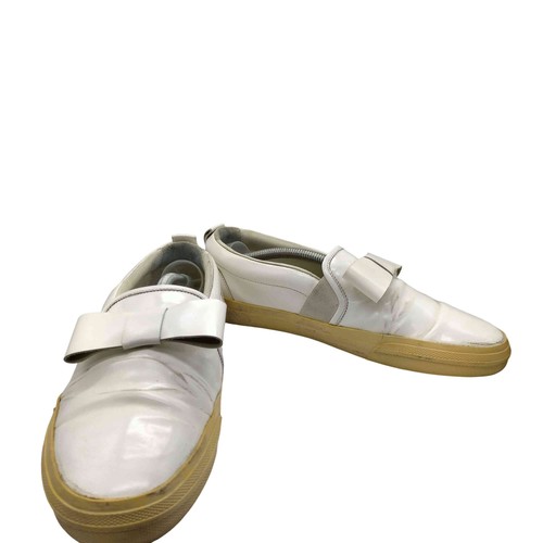 Golden goose seastar - golden,
