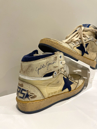 Golden goose sky star - goose, sky-star