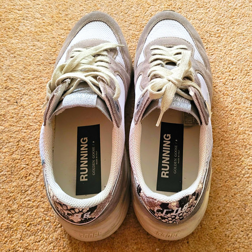 Golden goose running - goose, low
